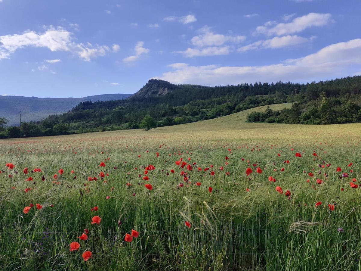 Les Terrasses Du Paradis Orpierre Esterno foto