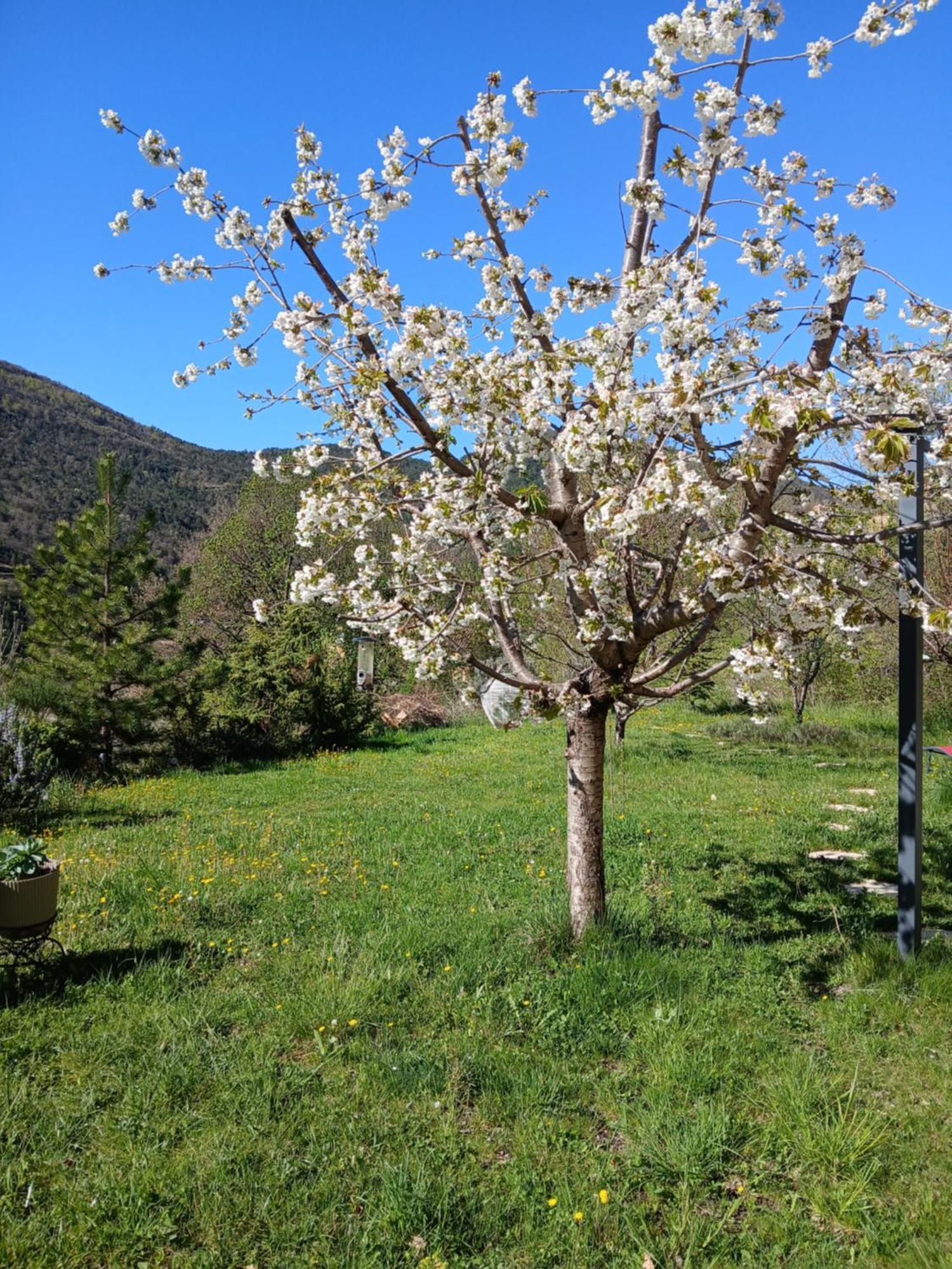 Les Terrasses Du Paradis Orpierre Esterno foto